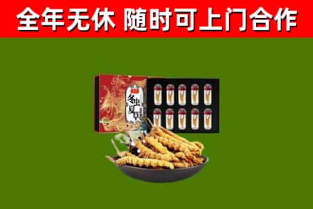 揭东烟酒回收冬虫夏草礼盒.jpg