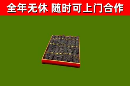 揭东烟酒回收海参.jpg
